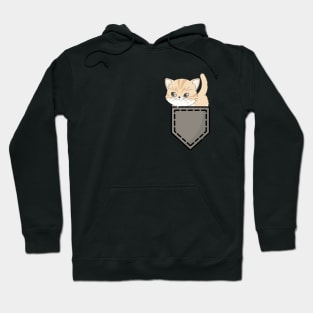 Cute kitten Cat in pocket | I love cats Hoodie